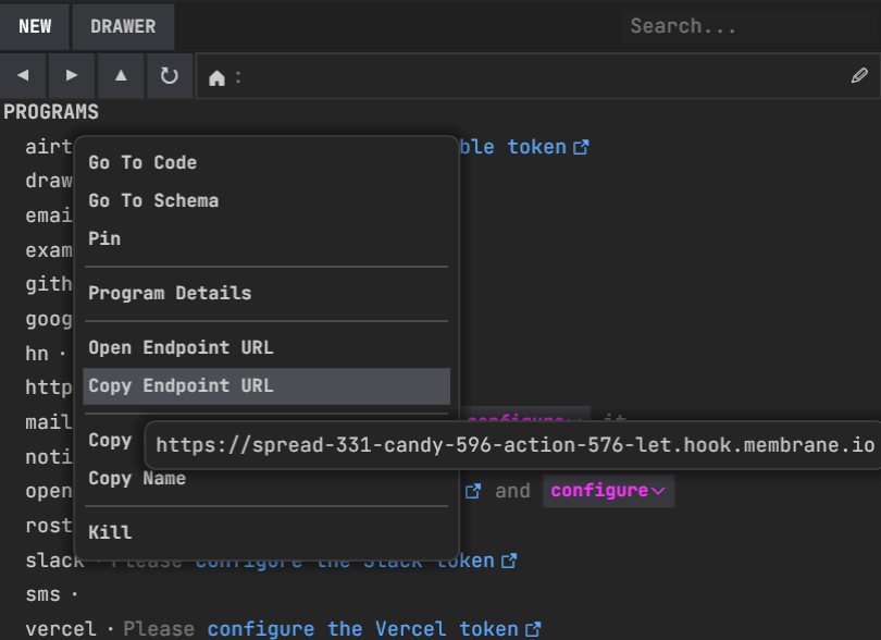A screenshot showing how to open or copy a program's HTTP endpoint