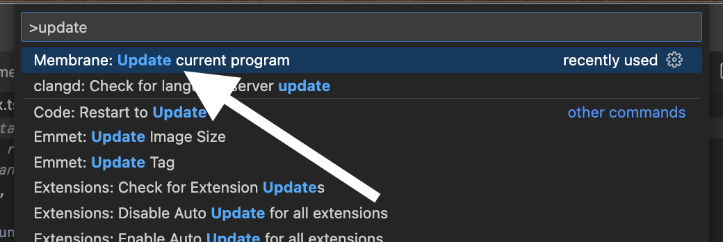 The 'Membrane: Update current program' command